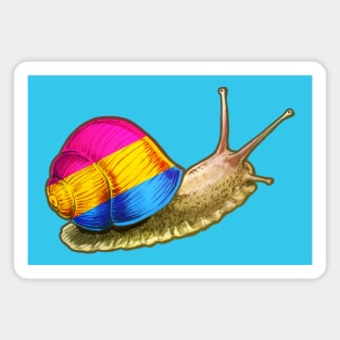 Pan Snail Magnet